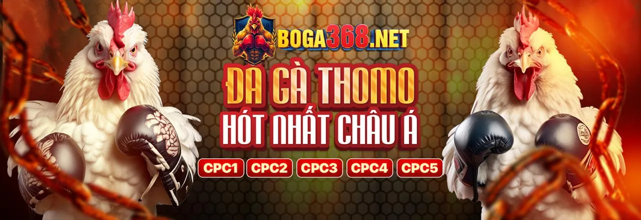 Trải nghiệm sòng bạc trực tiếp fi88